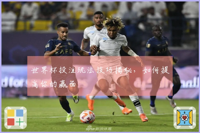 世界杯投注玩法技巧揭秘，如何提高你的赢面