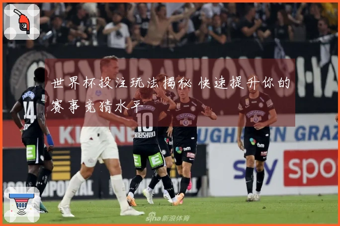 世界杯投注玩法揭秘 快速提升你的赛事竞猜水平