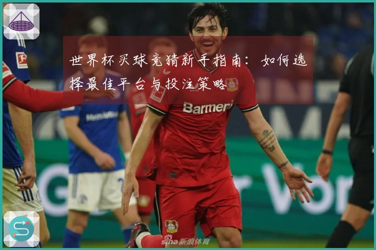 世界杯买球竞猜新手指南：如何选择最佳平台与投注策略