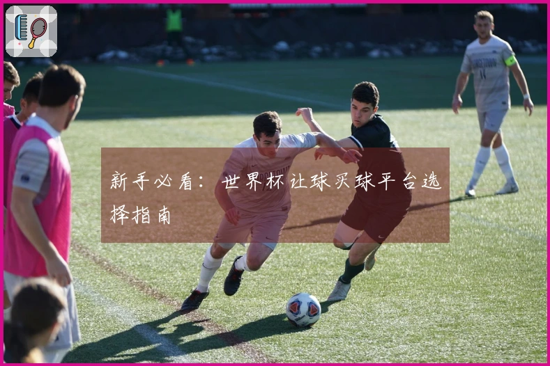 新手必看：世界杯让球买球平台选择指南